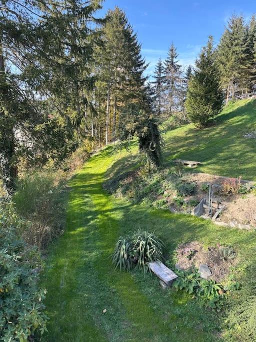 Exclusiv Im Erzgebirge Appartement Amtsberg Buitenkant foto